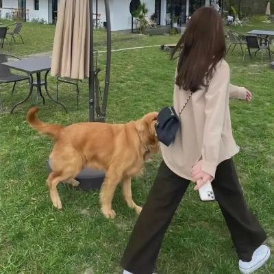 绯闻女孩第一季