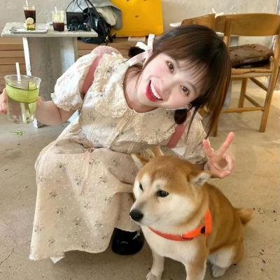 浪漫输给你